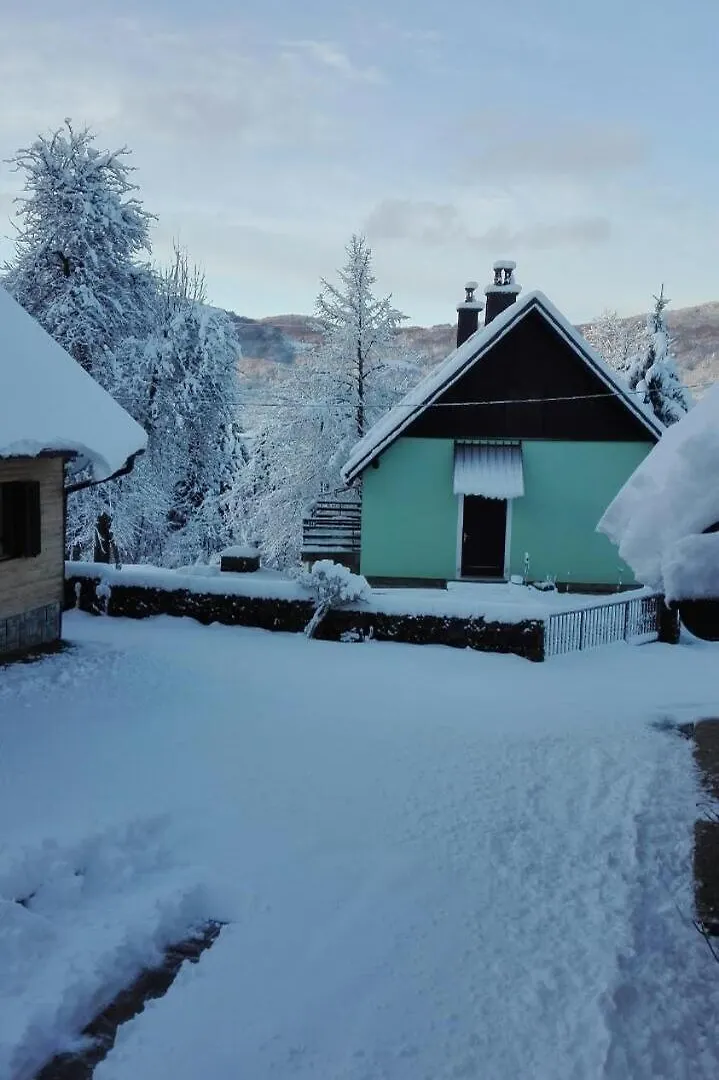 Forest Chalet 0*, Zalesina